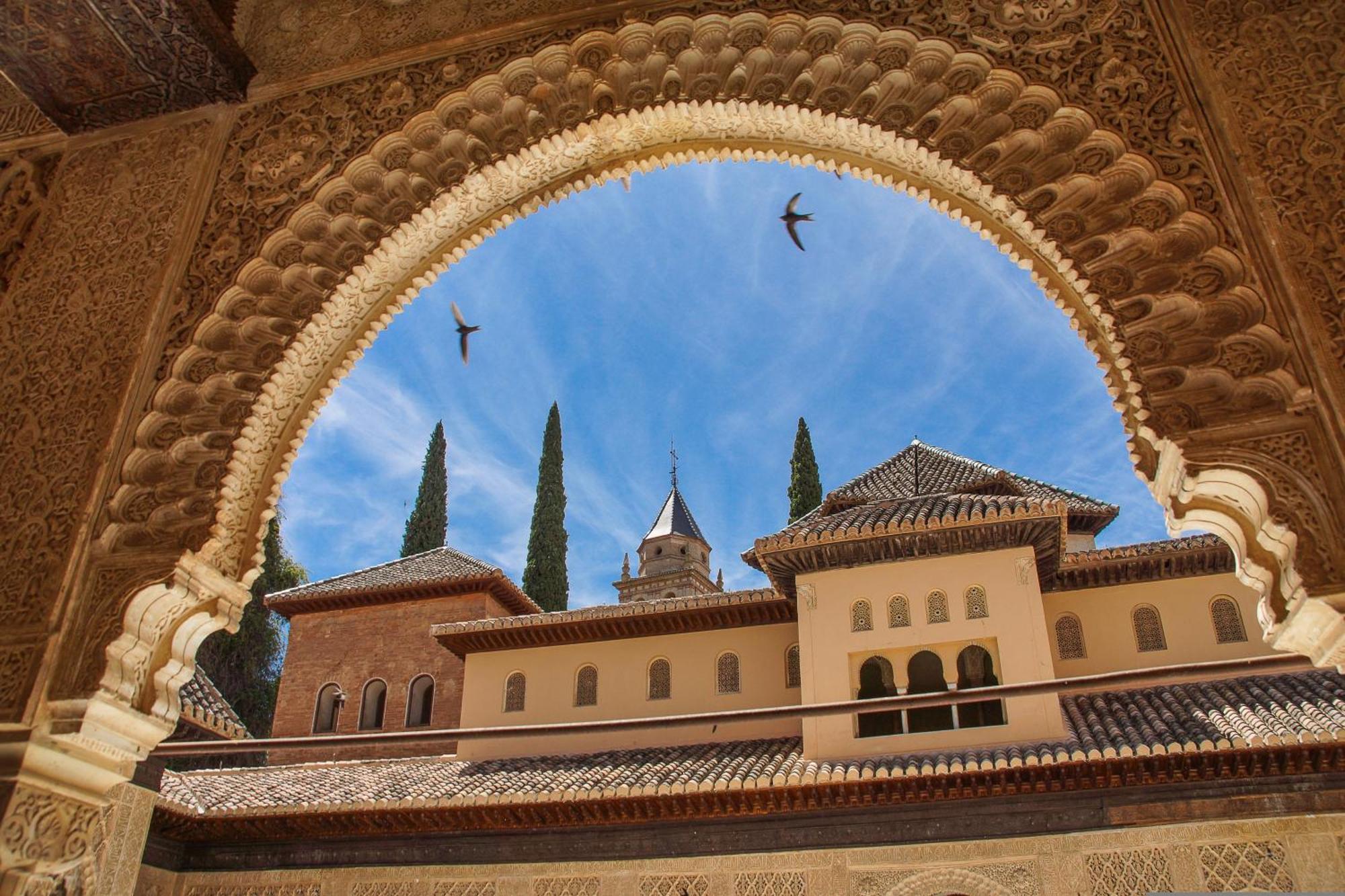 Appartement Dali'S Sanctuary In Granada - Private Parking Free Extérieur photo